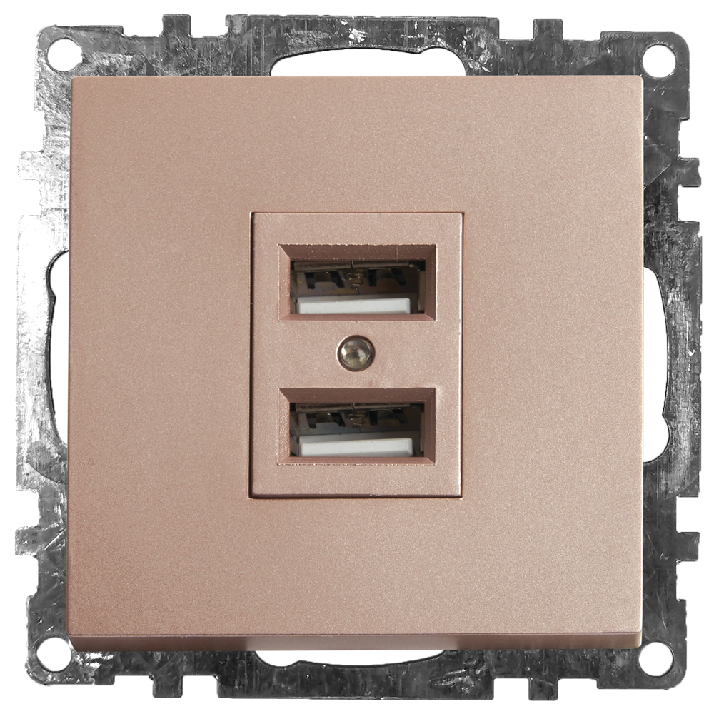 Розетка 2-местная USB (механизм), STEKKER GLS10-7115-02, 250V, 2,4А, серия Катрин, шампань 39602
