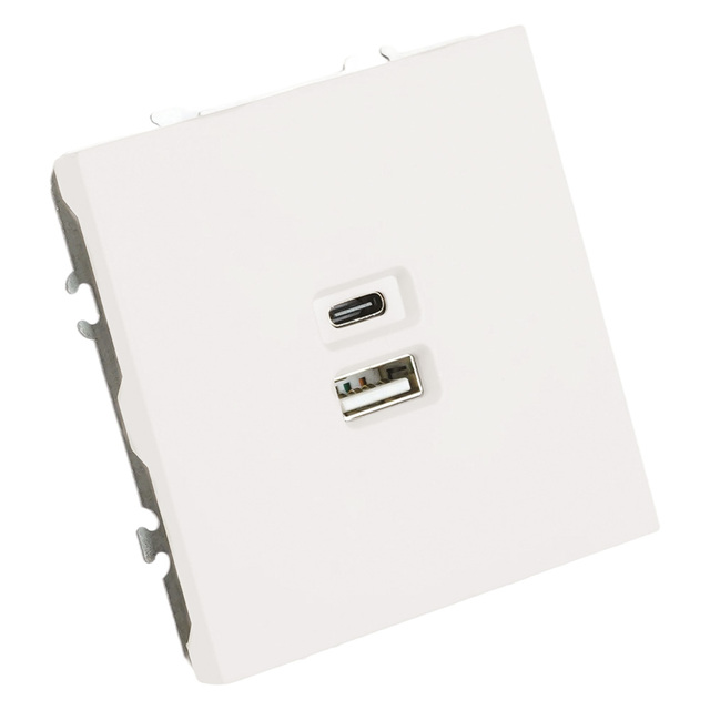 Розетка 2-местная USB + Type C (механизм), STEKKER, 250В, 20W, серия Эмили, RST10-5115-01, белый фарфор, soft touch 49879 — фото 2