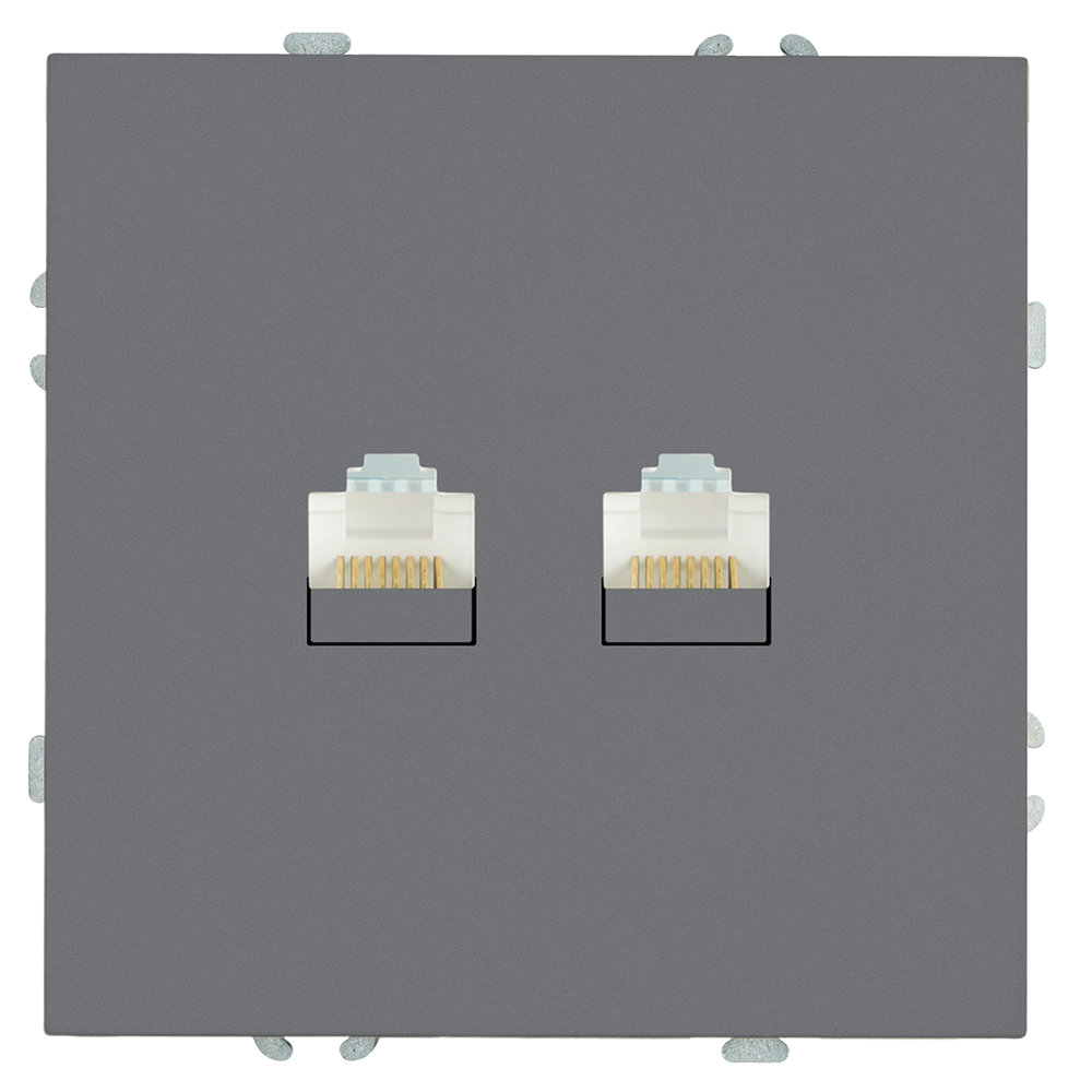 Розетка компьютерная 2-местная RJ-45 (механизм), STEKKER, серия Эмили, RST00-5111-10, платиново-серый, soft touch 49952